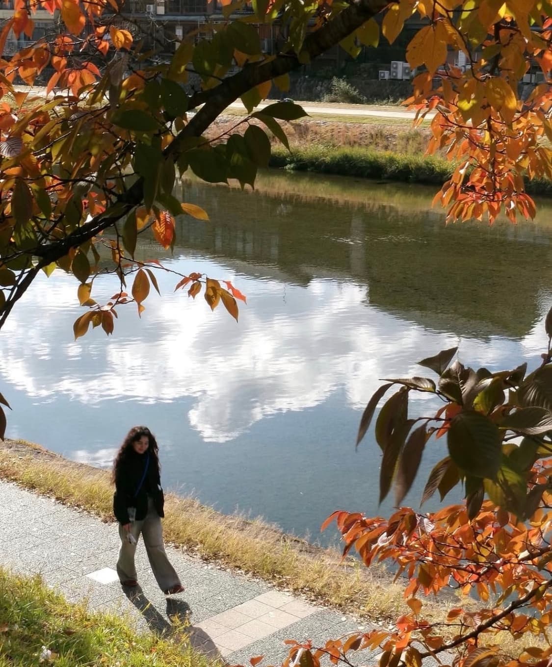 코닥 이지쉐어 m580 디지털카메라 상품이미지10