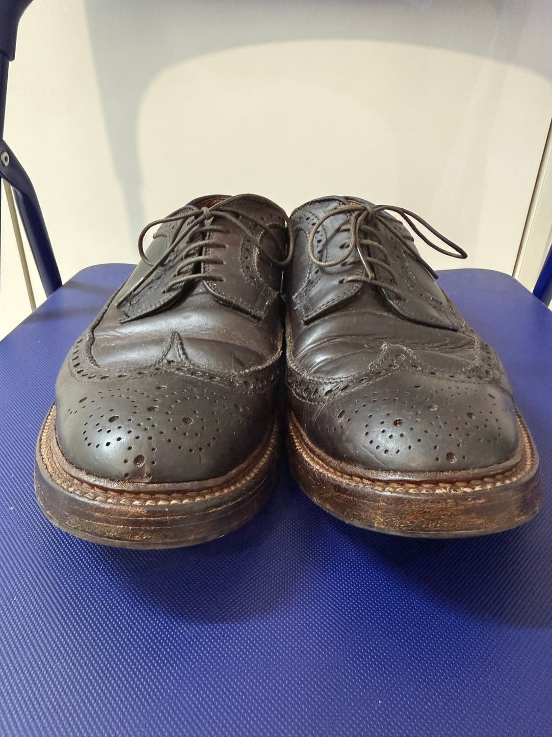 Alden Longwing Blucher Brown Chromexcel 상품이미지3