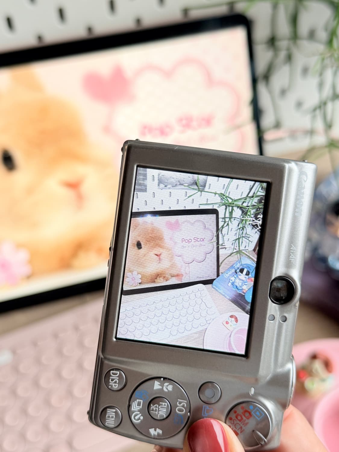 ✨ 아이돌 실사용템 미품 풀박스✨IXY 900IS 익시900 익서스850 상품이미지9