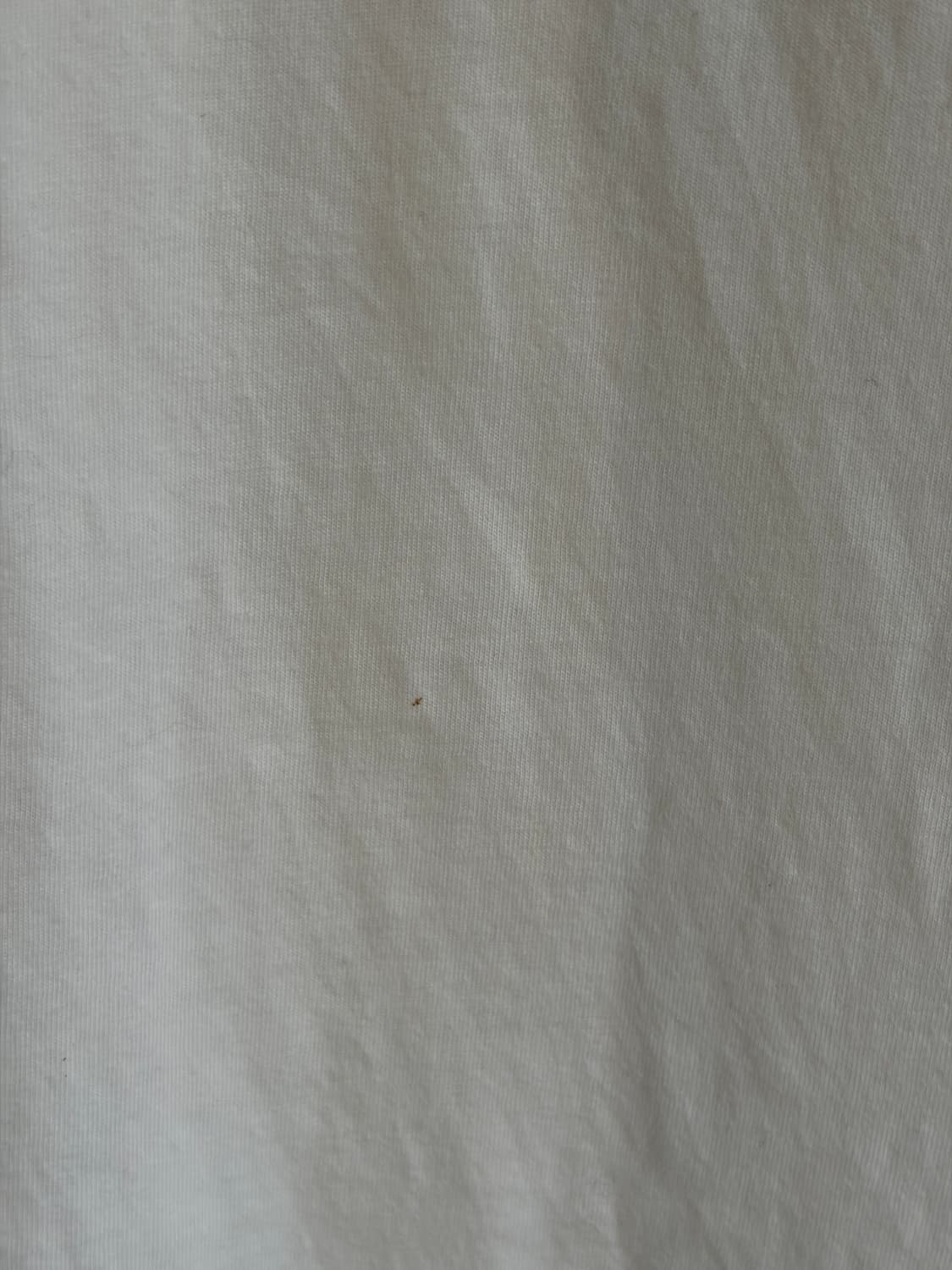 CHAMPION ringer t-shirt   상품이미지7