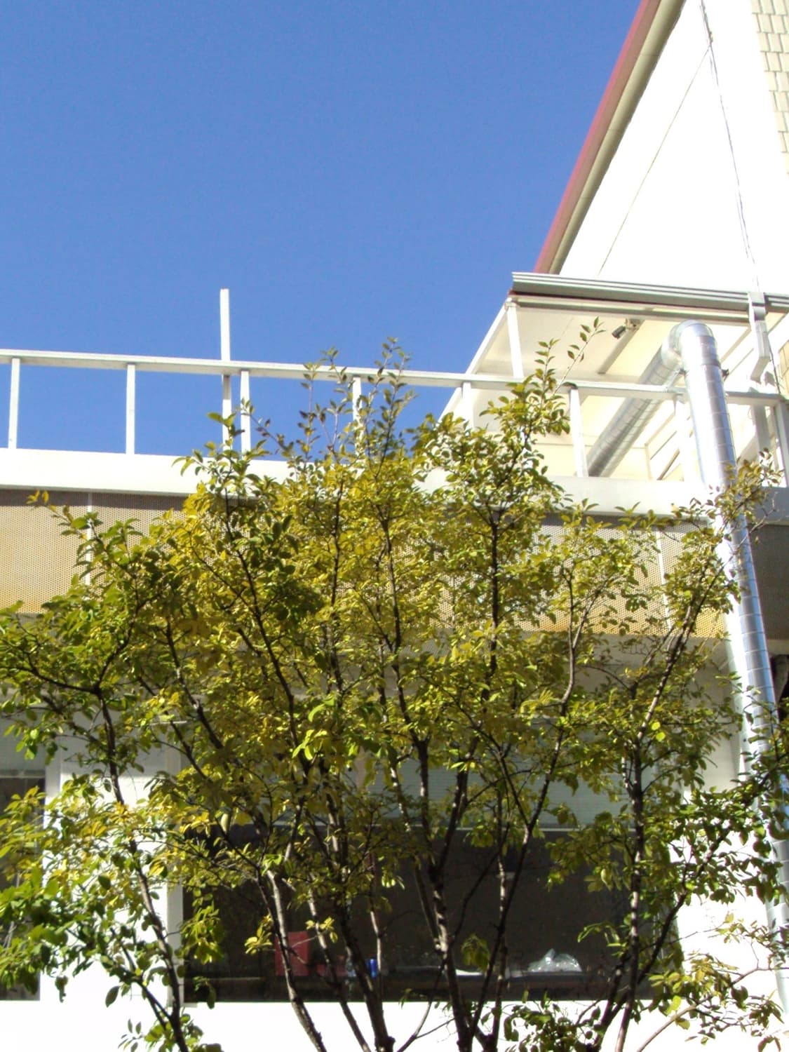 작례 미침 소니 dsc-s950 디카 상품이미지6