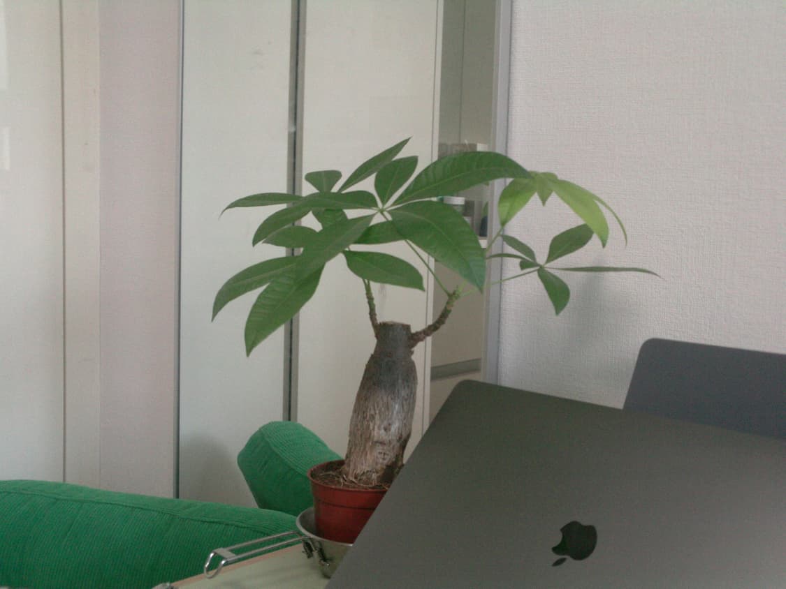 삼성 HMX -U10 빈티지 디지털카메라 캠코더 상품이미지9