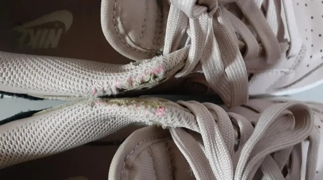 나이키 덩크 로우 프라이멀 핑크 상품이미지5