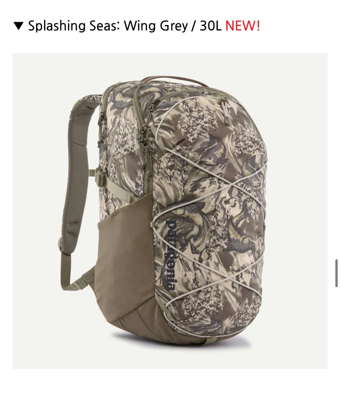 파타고니아 리퓨지오 백팩 30L 노트북 파우치 상품이미지1