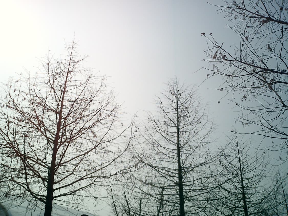 카시오엑슬림 EX-S2 디카 상품이미지4