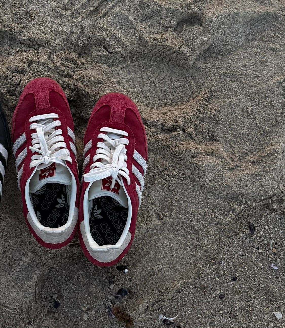 아디다스 삼바 og 탈베러 스칼렛 오프 화이트 상품이미지2