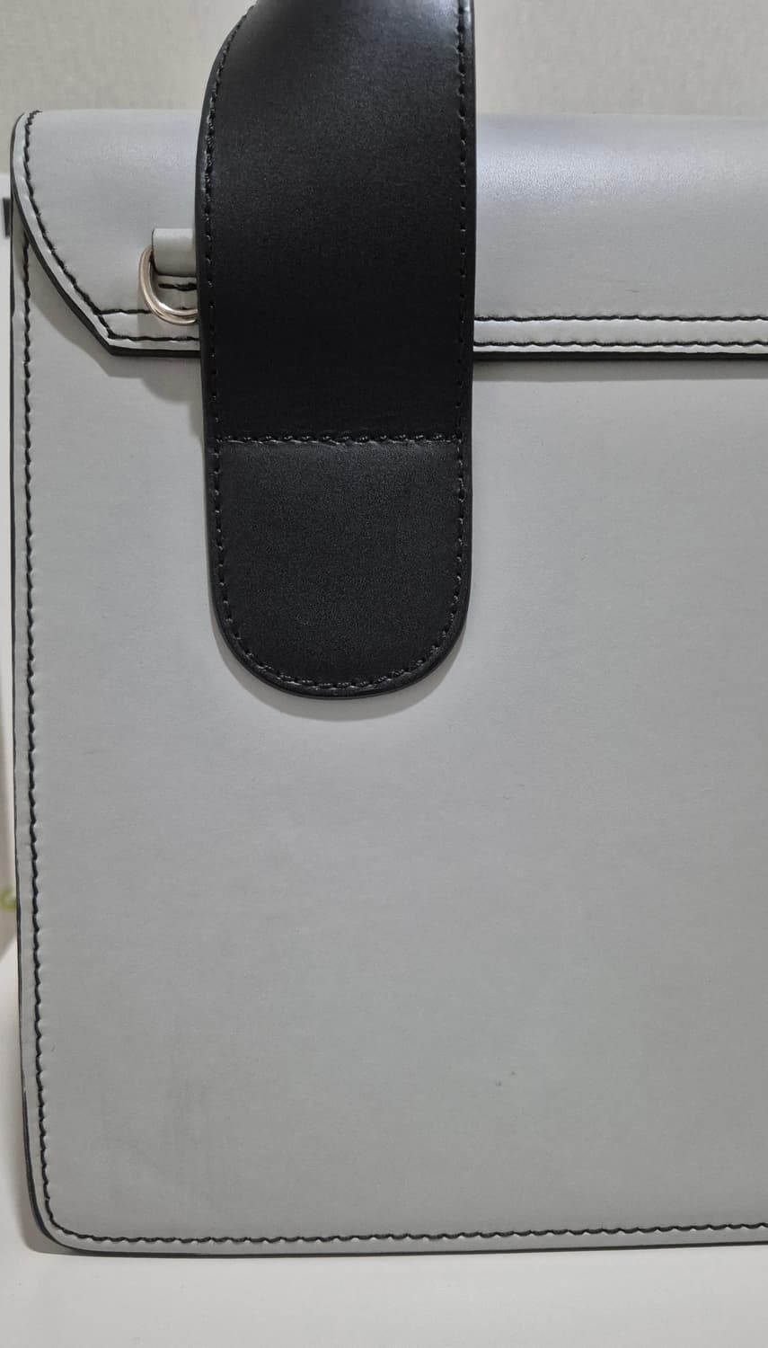 비비안웨스트우드 알렉스 미디움 백 (스트랩, 더스트백 포함) 상품이미지6