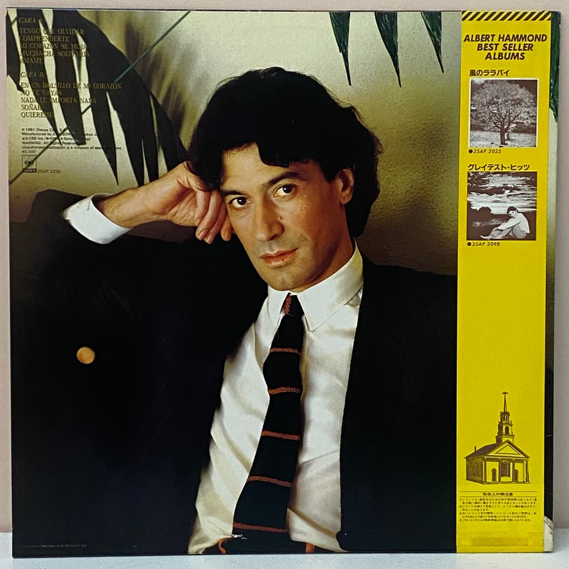 (LP) Albert Hammond - Comprenderte 상품이미지2