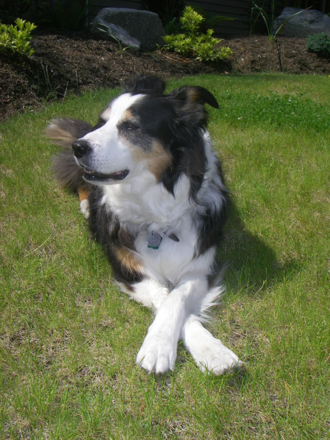 희귀🍎 Pentax Optio W30 풀박스 상품이미지7