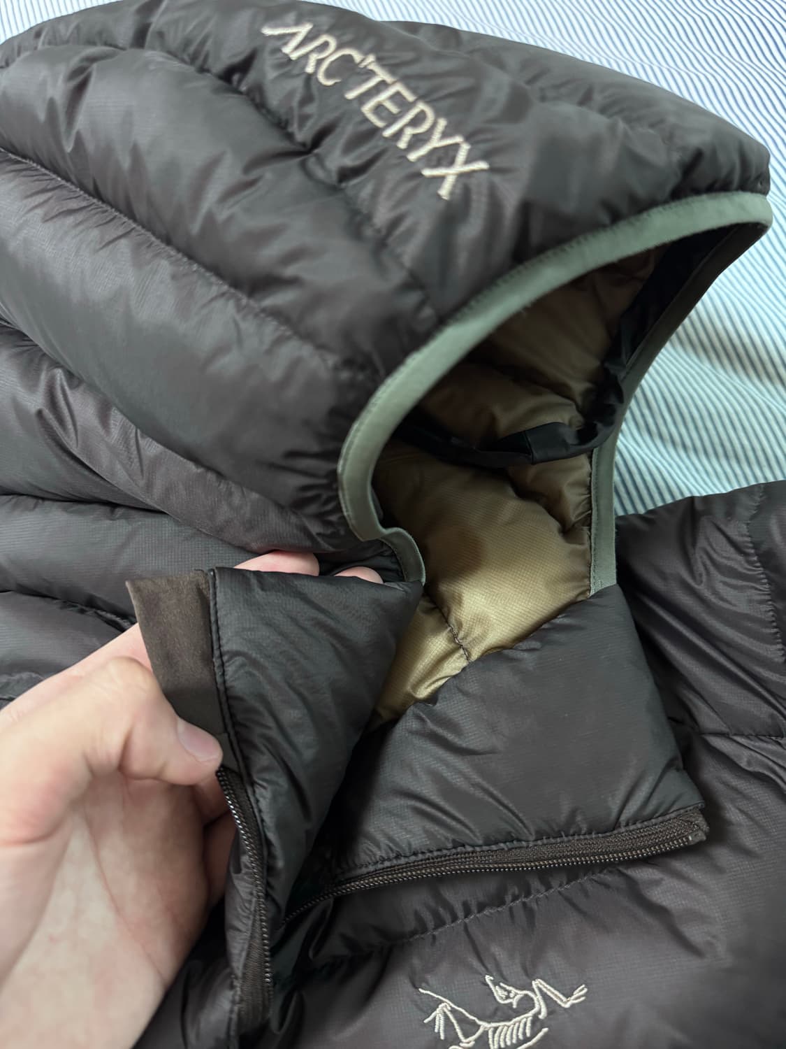 아크테릭스 세륨 후디 비터스 상품이미지6