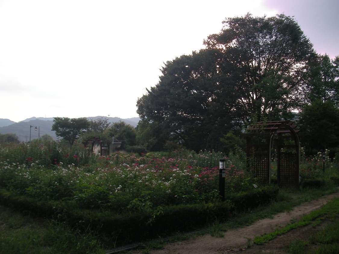 산요 작티 c6 디카 캠코더 상품이미지5