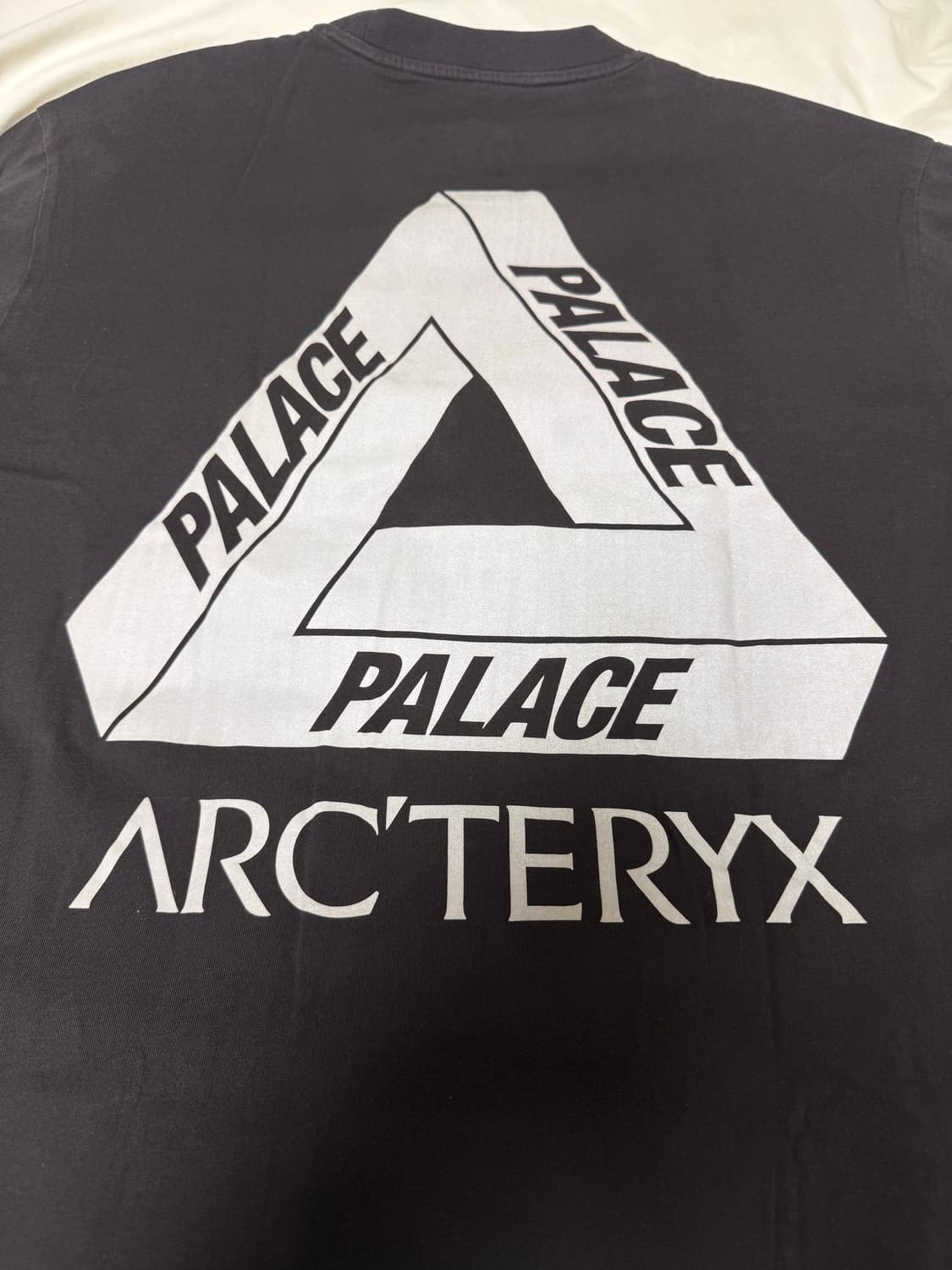 Palace x Arcteryx 팔라스 아크테릭스 티셔츠 상품이미지2