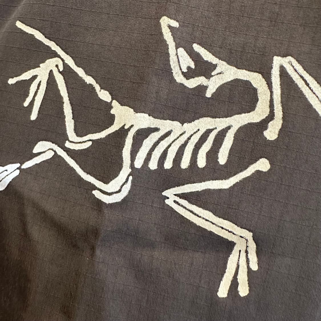 아크테릭스 빔즈 제타  상품이미지2