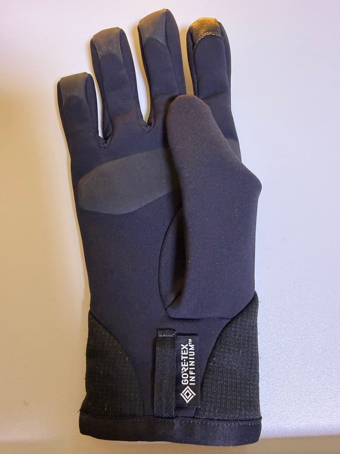 아크테릭스 벤타 장갑 (오른쪽만) 상품이미지2