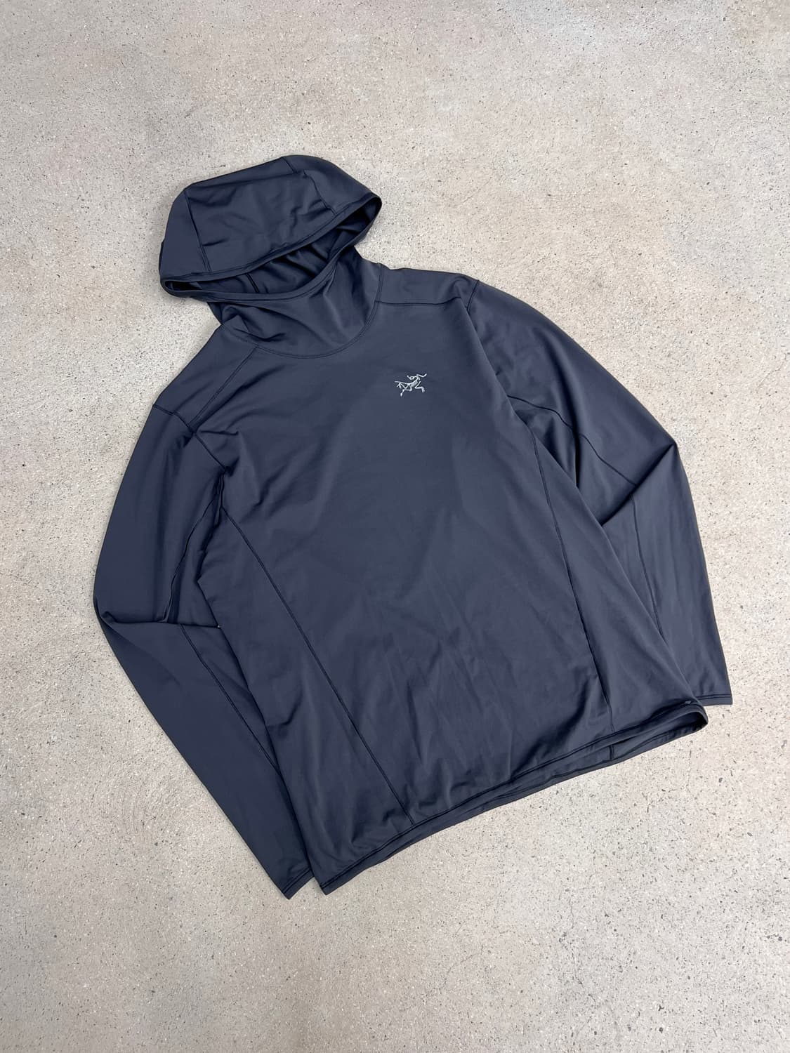 아크테릭스 페이직 선 후디 상품이미지2