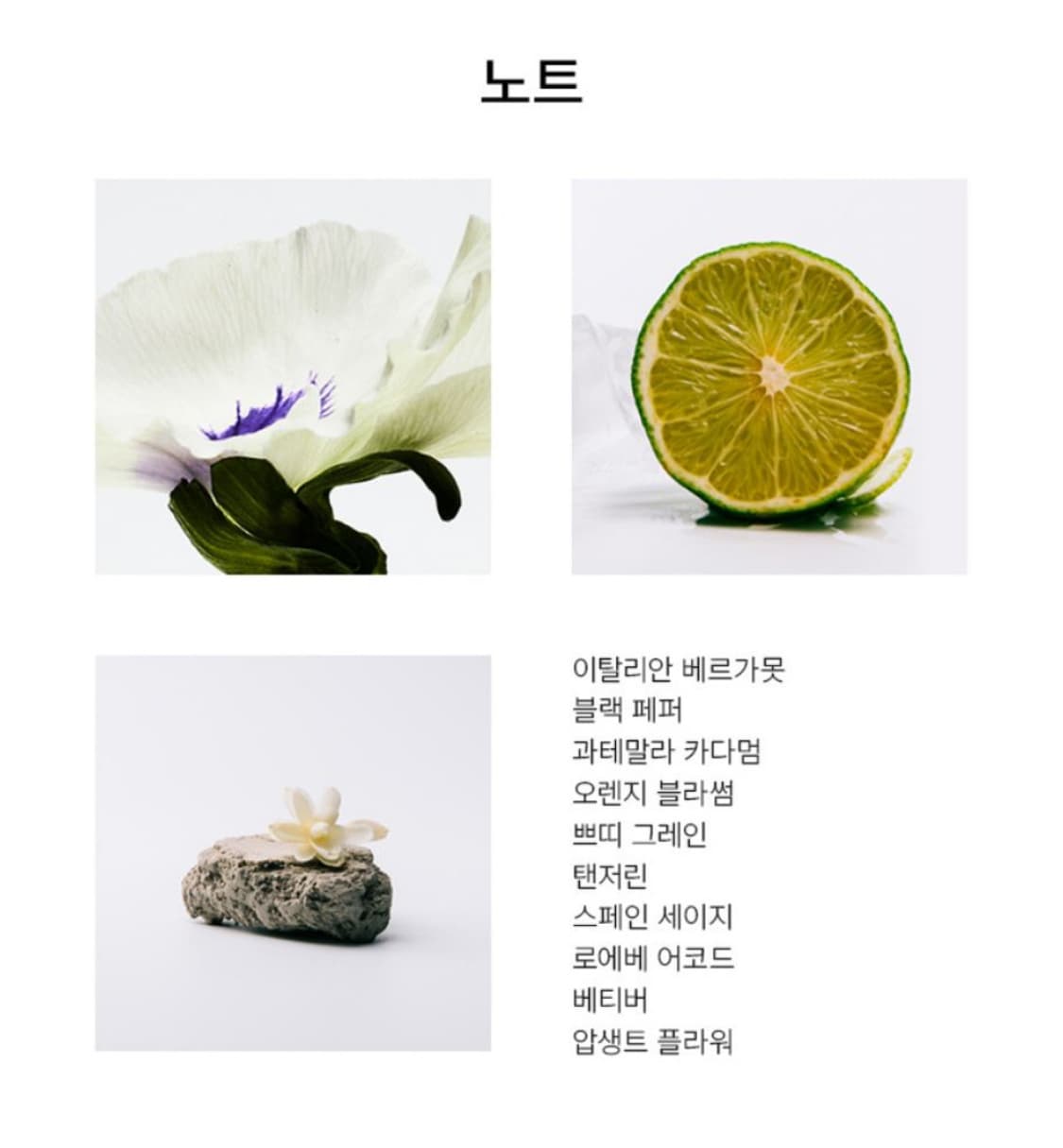 [50mL] 로에베 아구아 드롭 오드퍼퓸(국문탭) 상품이미지6