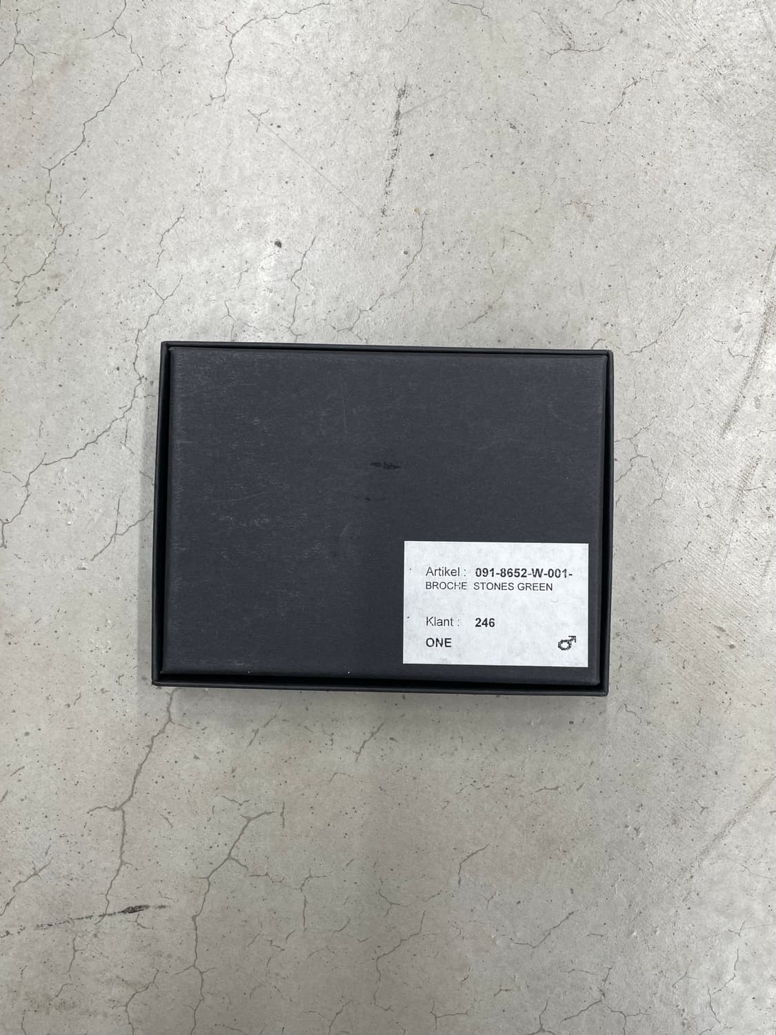 Ann demeulemeester ss09 beetle broch 상품이미지4