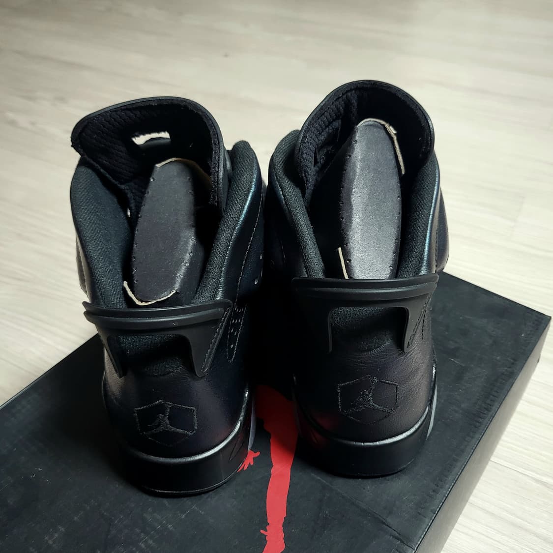 나이키 조던6 레트로 카멜레온(270) 상품이미지5