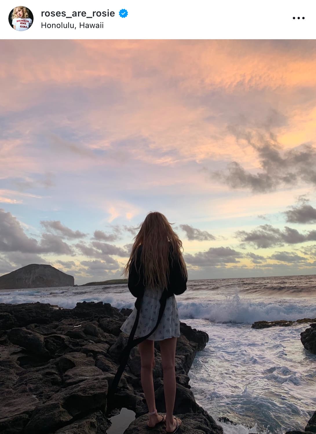 리포메이션 reformation 로제 loulou 드레스 상품이미지2