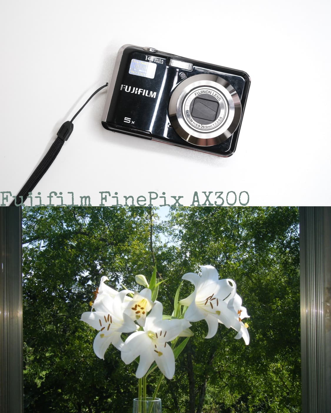 Fujifilm FinePix AX300 상품이미지1