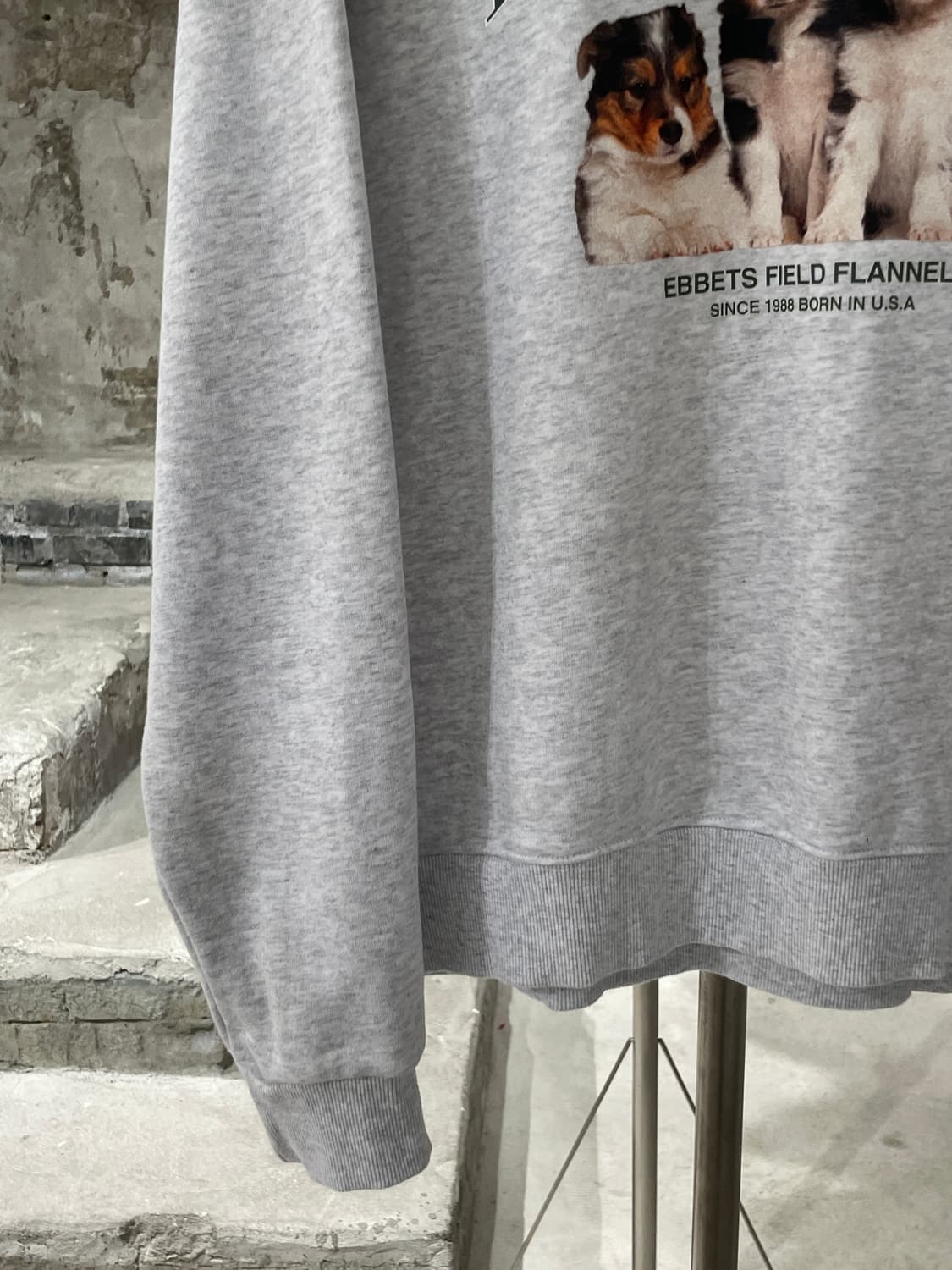 이벳필드 멜란지 그레이 보더콜리 퍼피 스웻 셔츠 상품이미지4