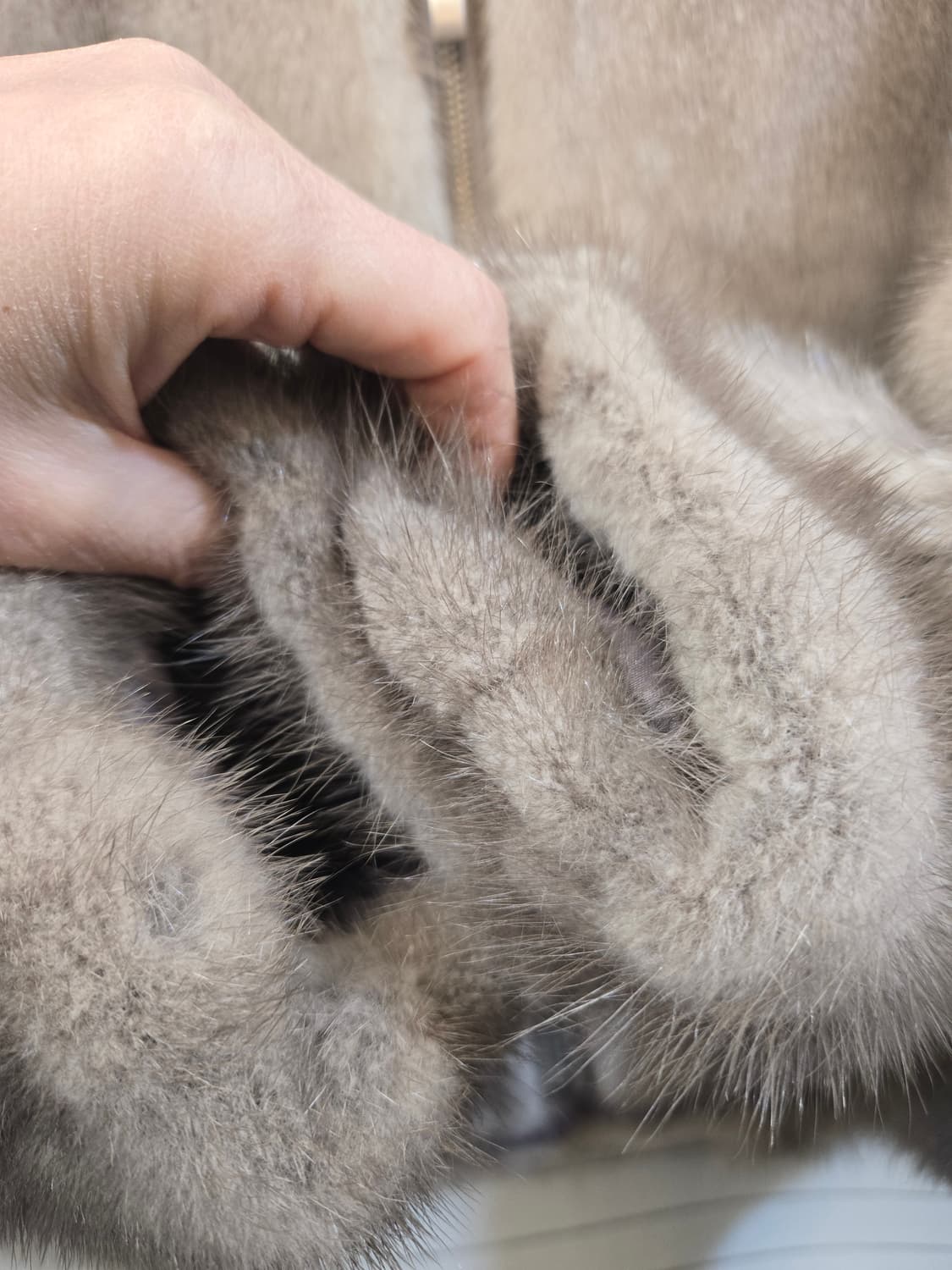 EURO 밍크 후드 숏 자켓 상품이미지4