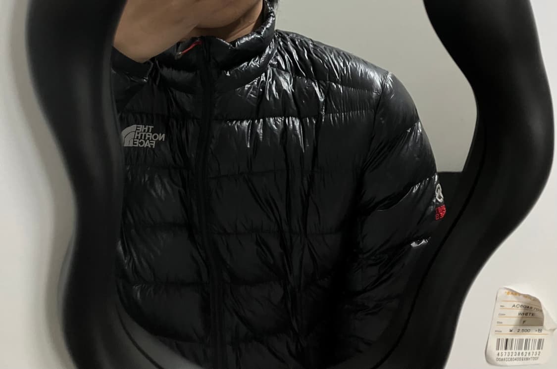 노스페이스의 퍼텍스 퀀텀 850 경량패딩 상품이미지1