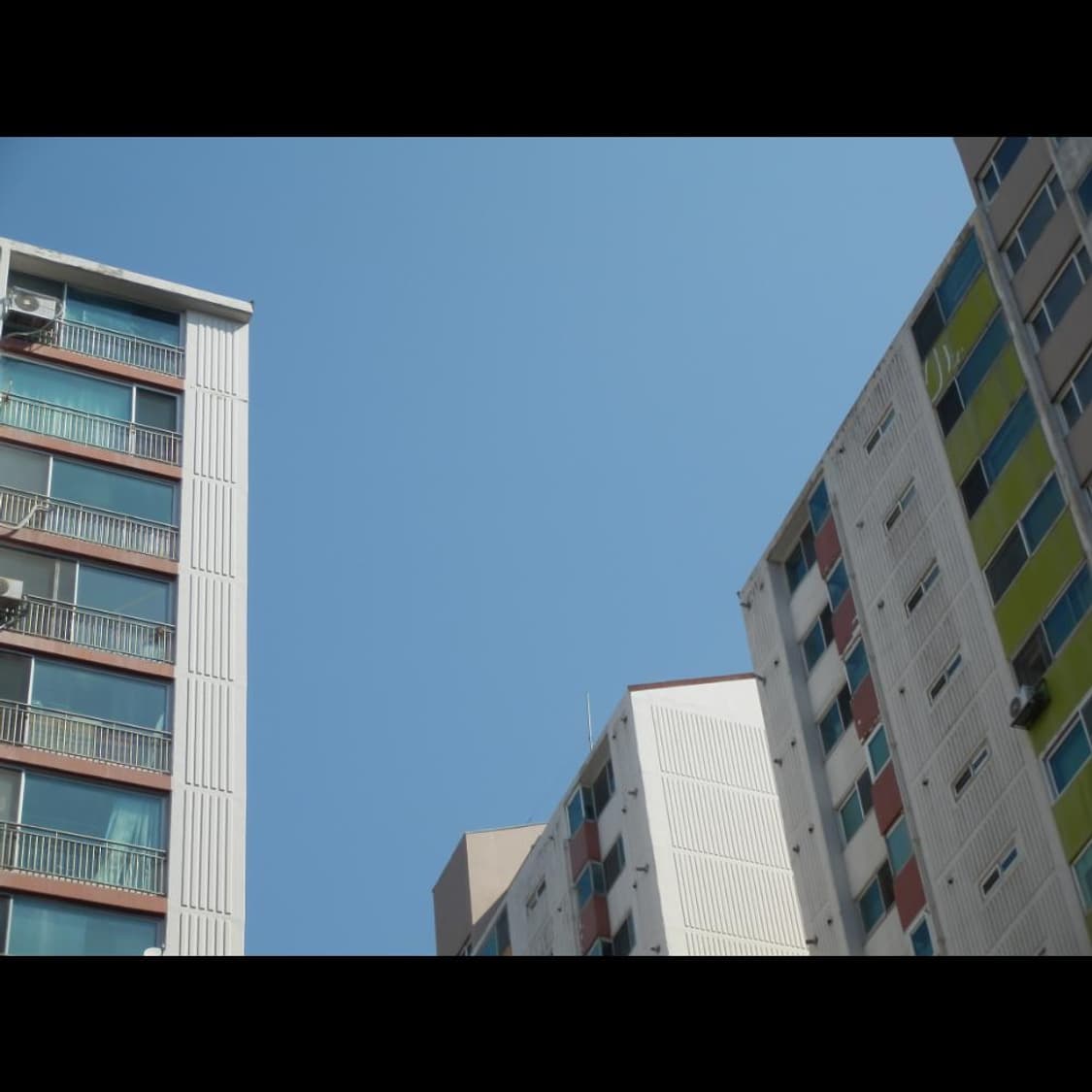 작례⭕️ 올림푸스 SZ-20 상품이미지3