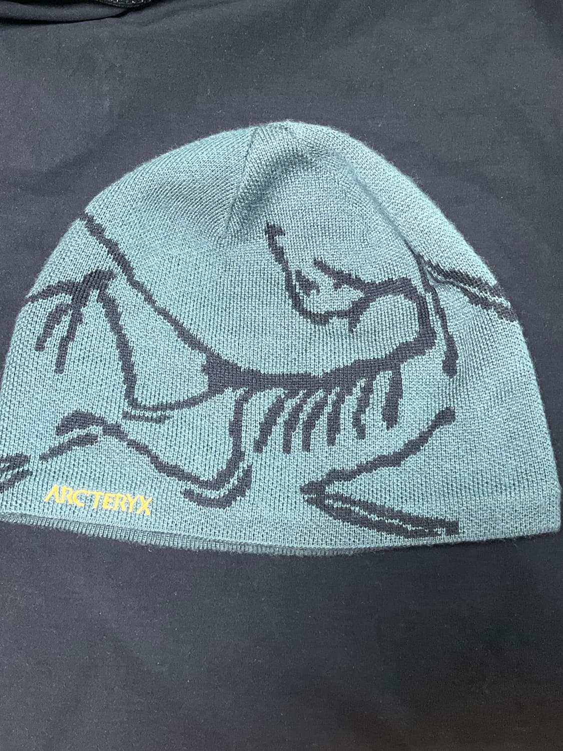 아크테릭스 버드 헤드 토크 다크매직 상품이미지2