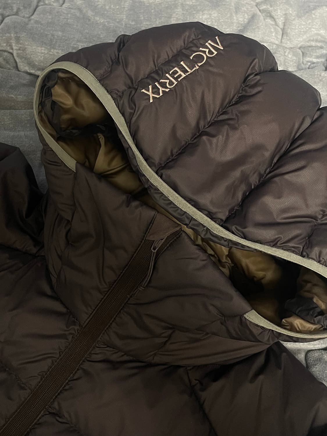 아크테릭스 세륨 후디 비터스 M 상품이미지5