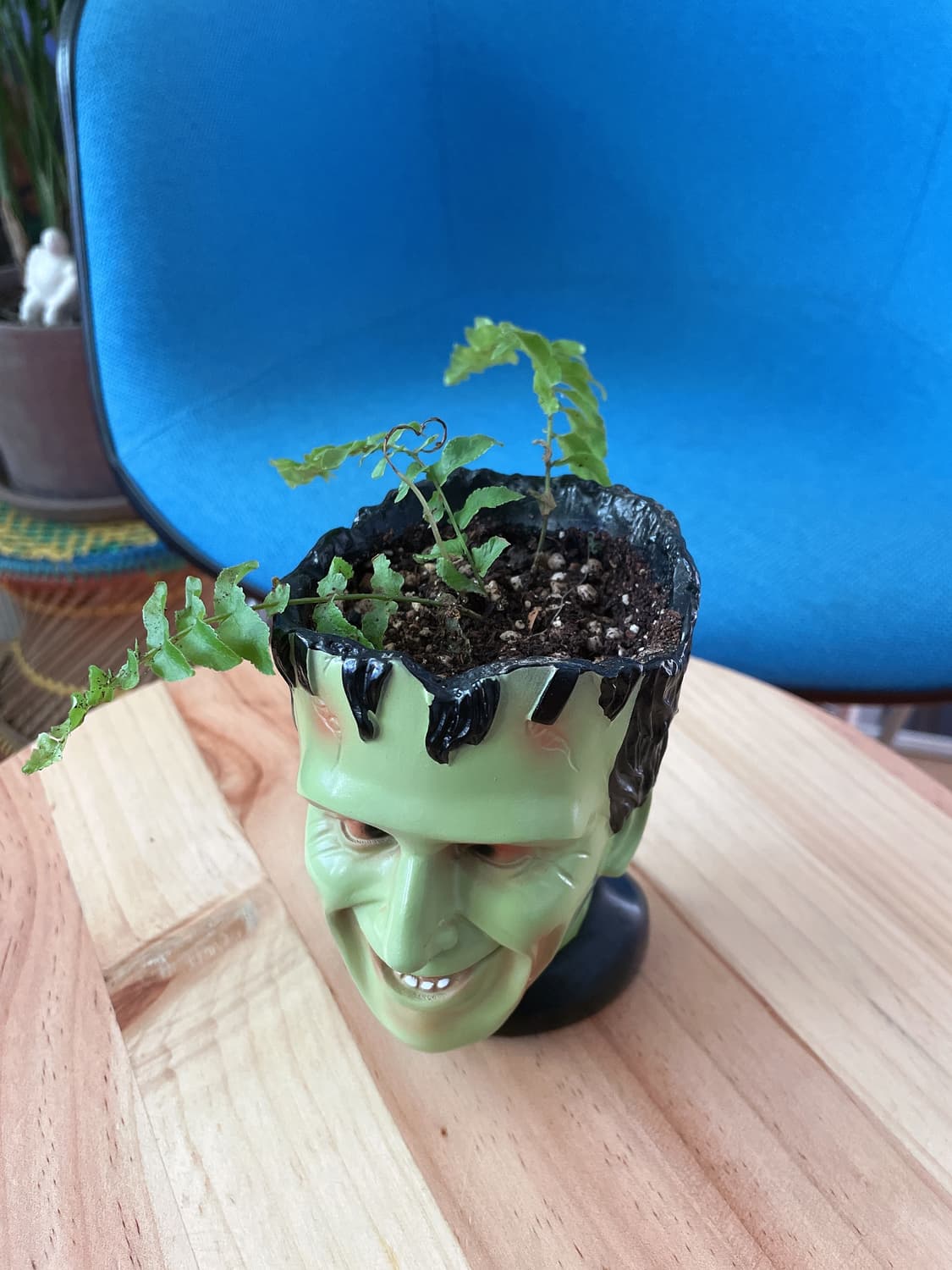 빈티지 프랑켄슈타인 화분 상품이미지2