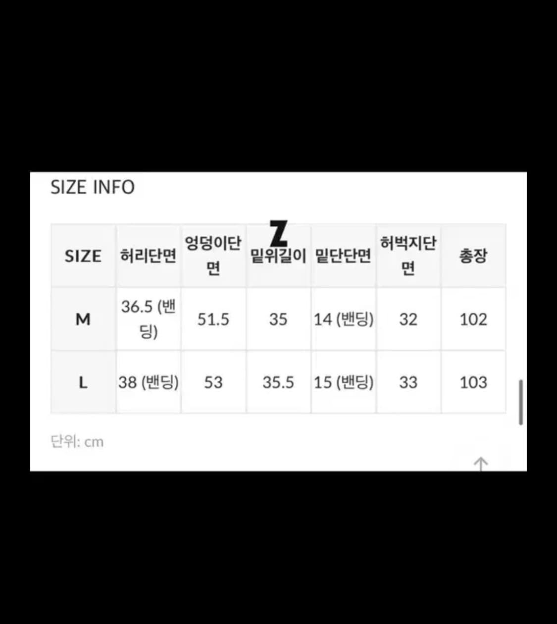 블랙업 (UNISEX) 젠델 와이드 기모 조거팬츠 그레이컬러 상품이미지2