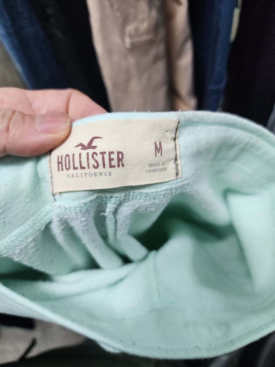 홀리스터 민트 트레이닝 스웻팬츠  상품이미지4