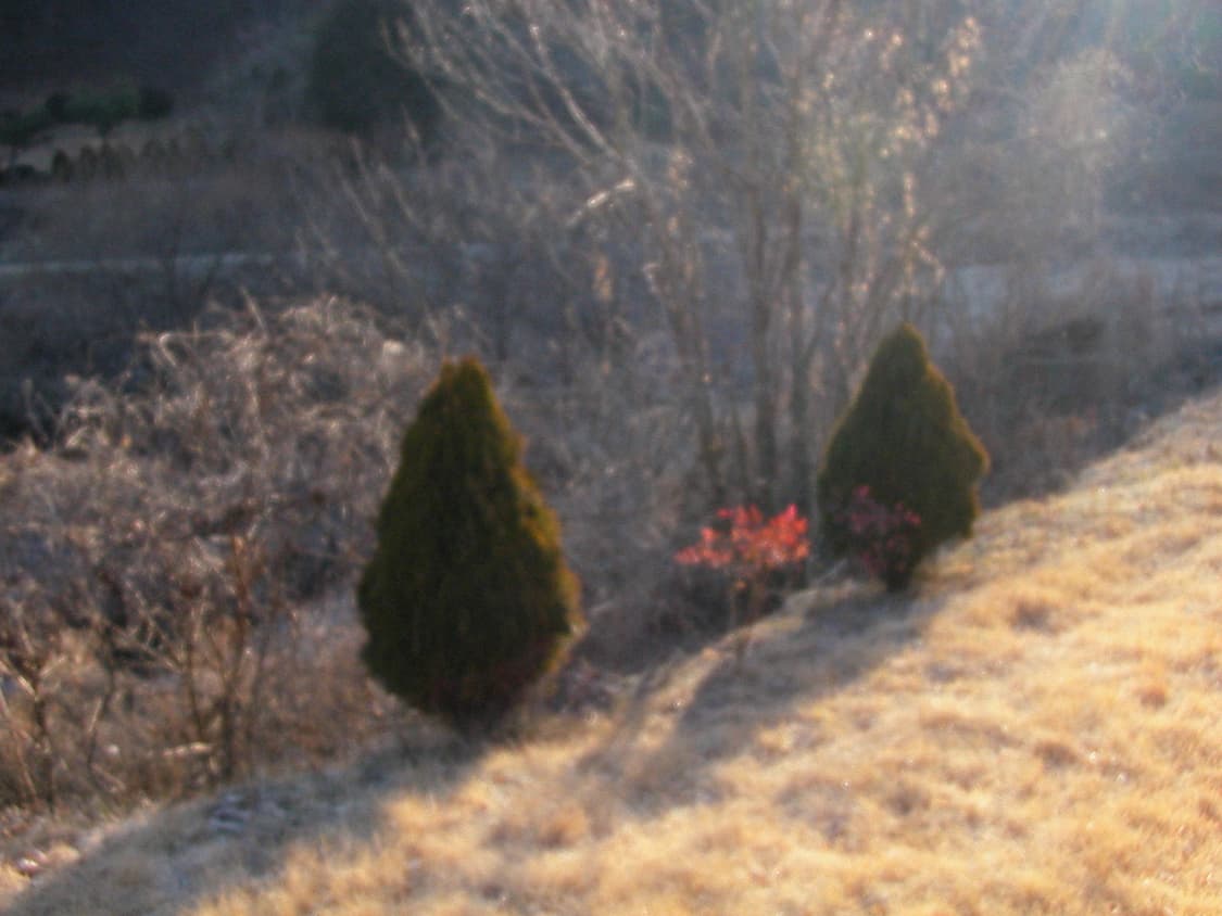 Nikon Coolpix E2500 디카 상품이미지5