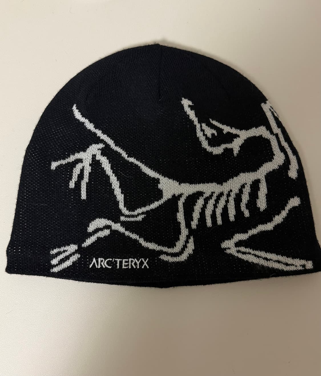 아크테릭스 비니  상품이미지1