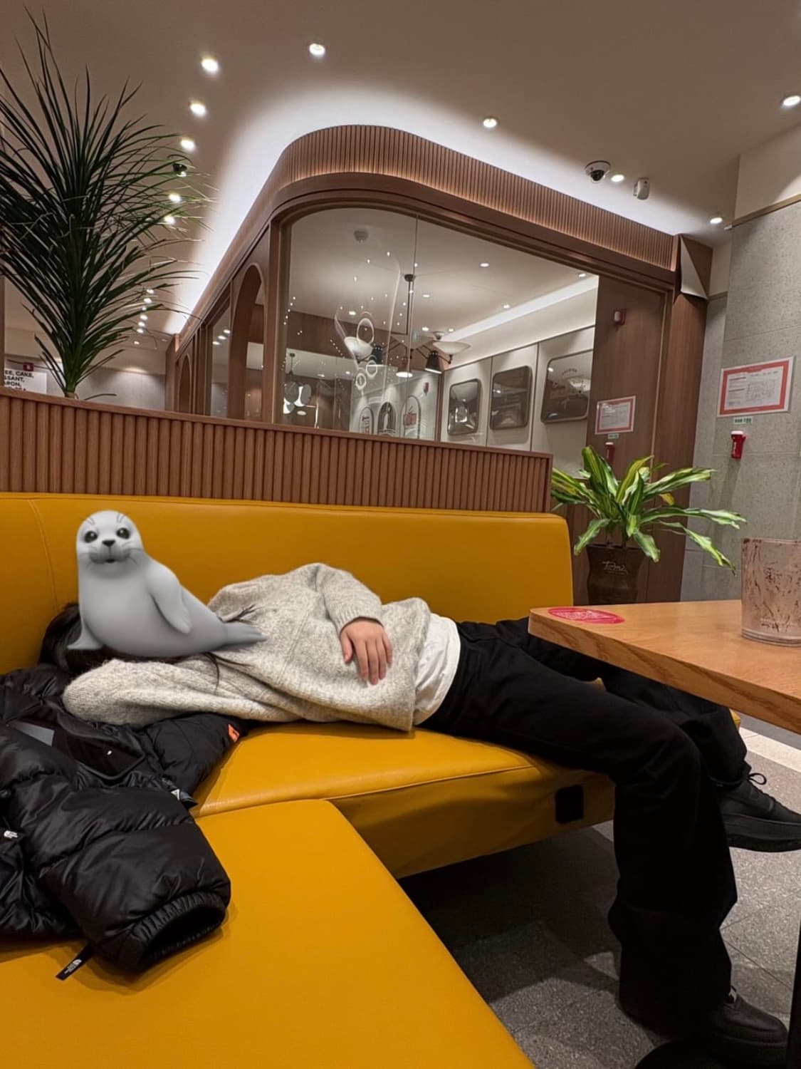 똑딱이 카라 니트 상품이미지7