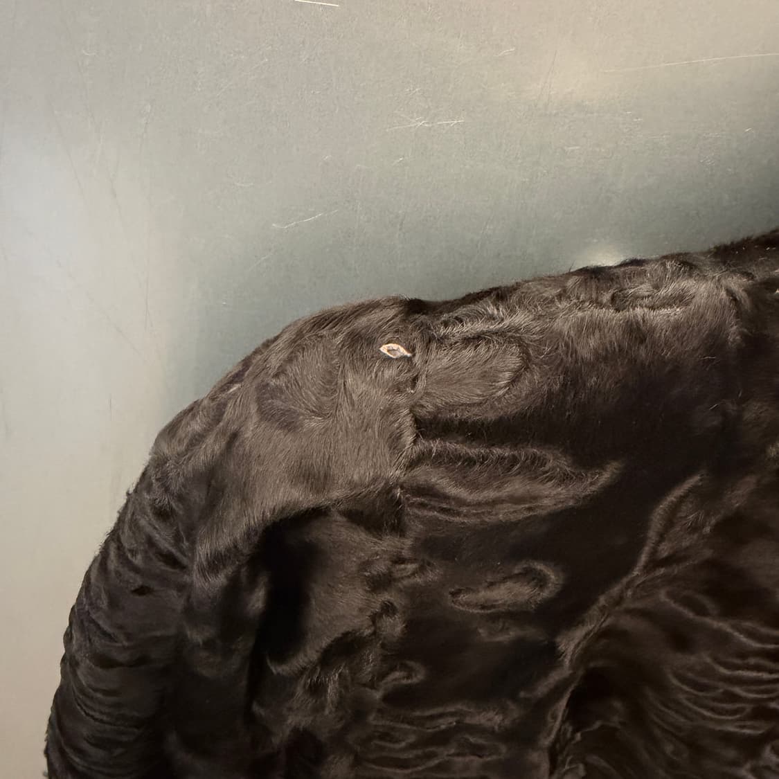 90s 발렌티노 페르시안 램 퍼 코트 상품이미지7