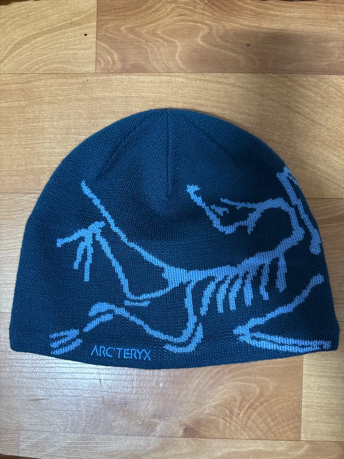 아크테릭스 버드 헤드 토크 비니 상품이미지1