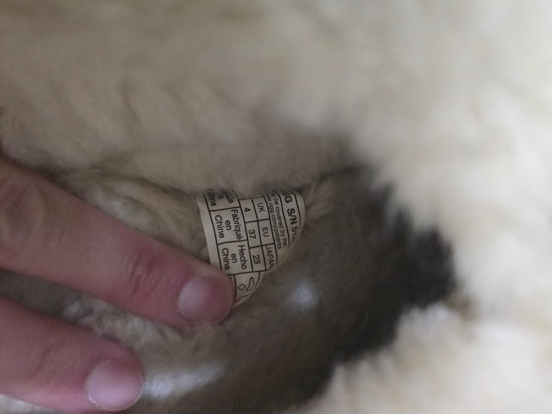 미국 UGG 어그 코케트 슬리퍼 230 상품이미지4