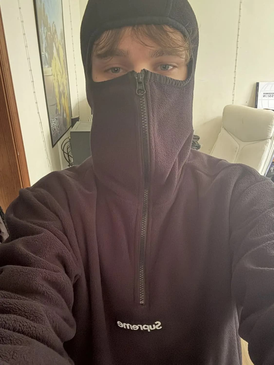 🚨희귀제품 Supreme Polartec Facemask Halfzip 상품이미지1