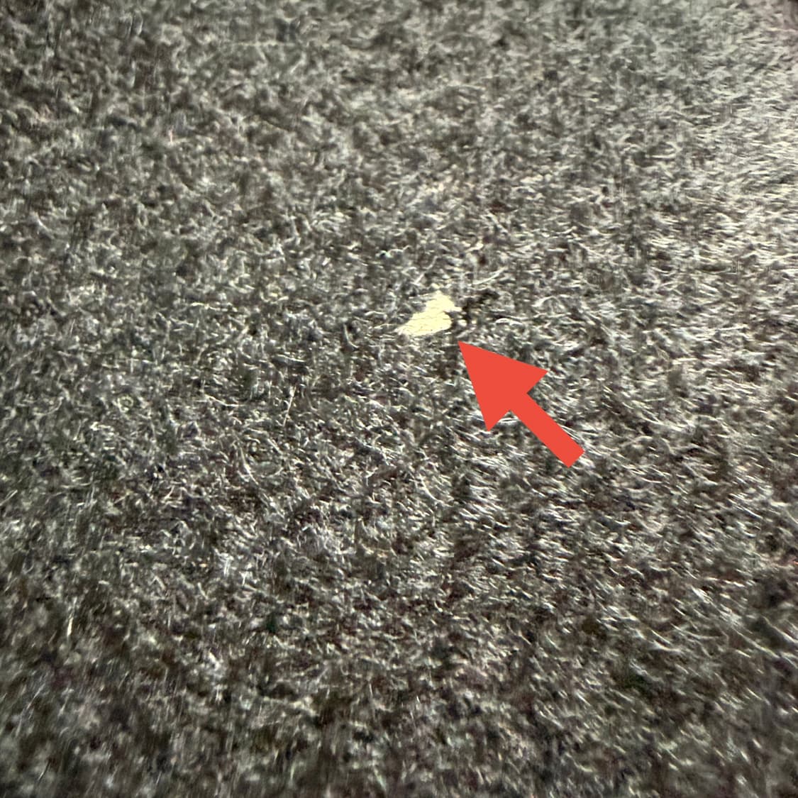 [캐시미어 100%] 블랙 머플러 목도리 상품이미지4