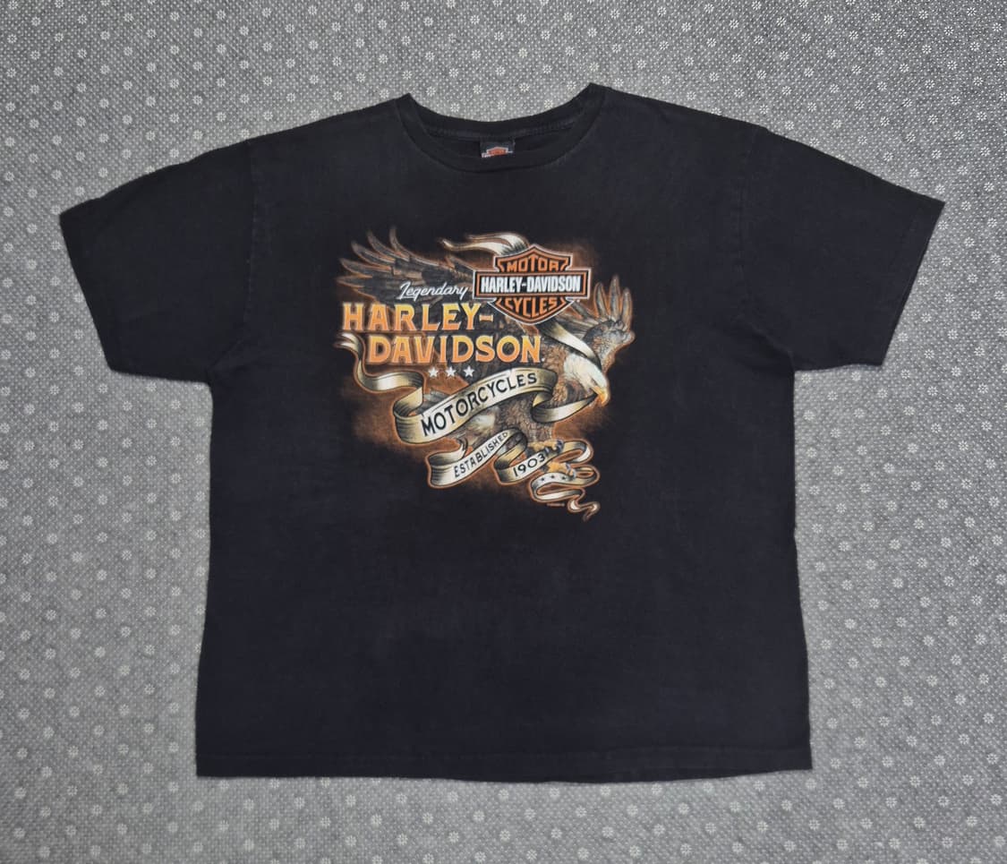 [XL]US made 할리데이비슨 브리스톨-951 상품이미지2