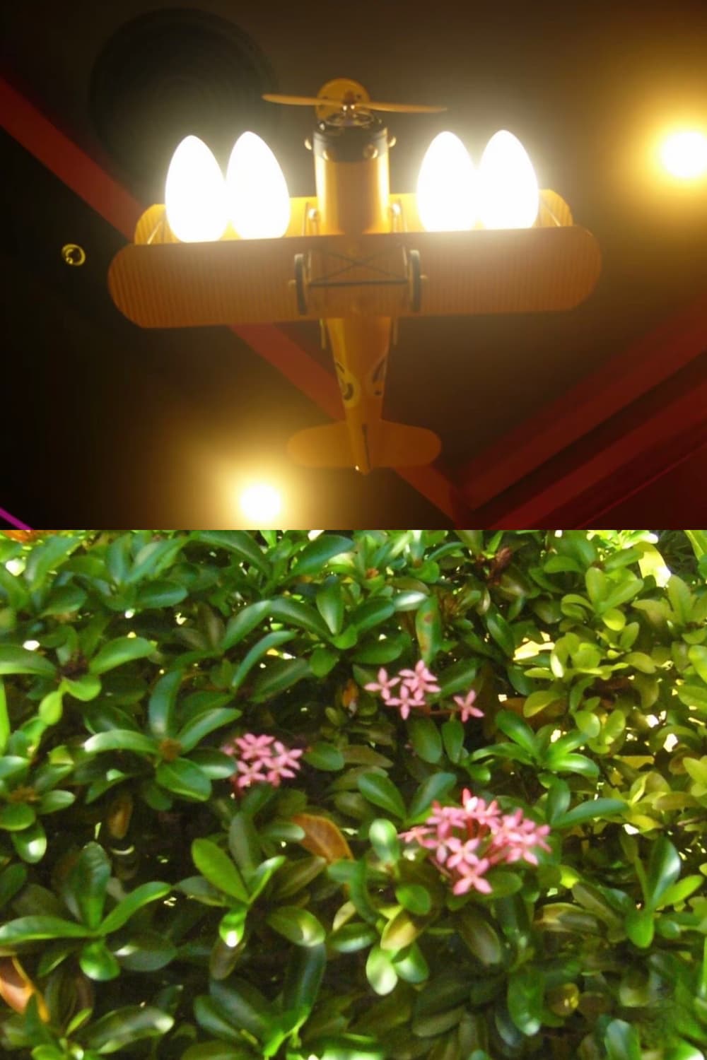 작례🫧𖠳ᐝ파나소닉 PANASONIC LUMIX DMC-LC70 상품이미지8