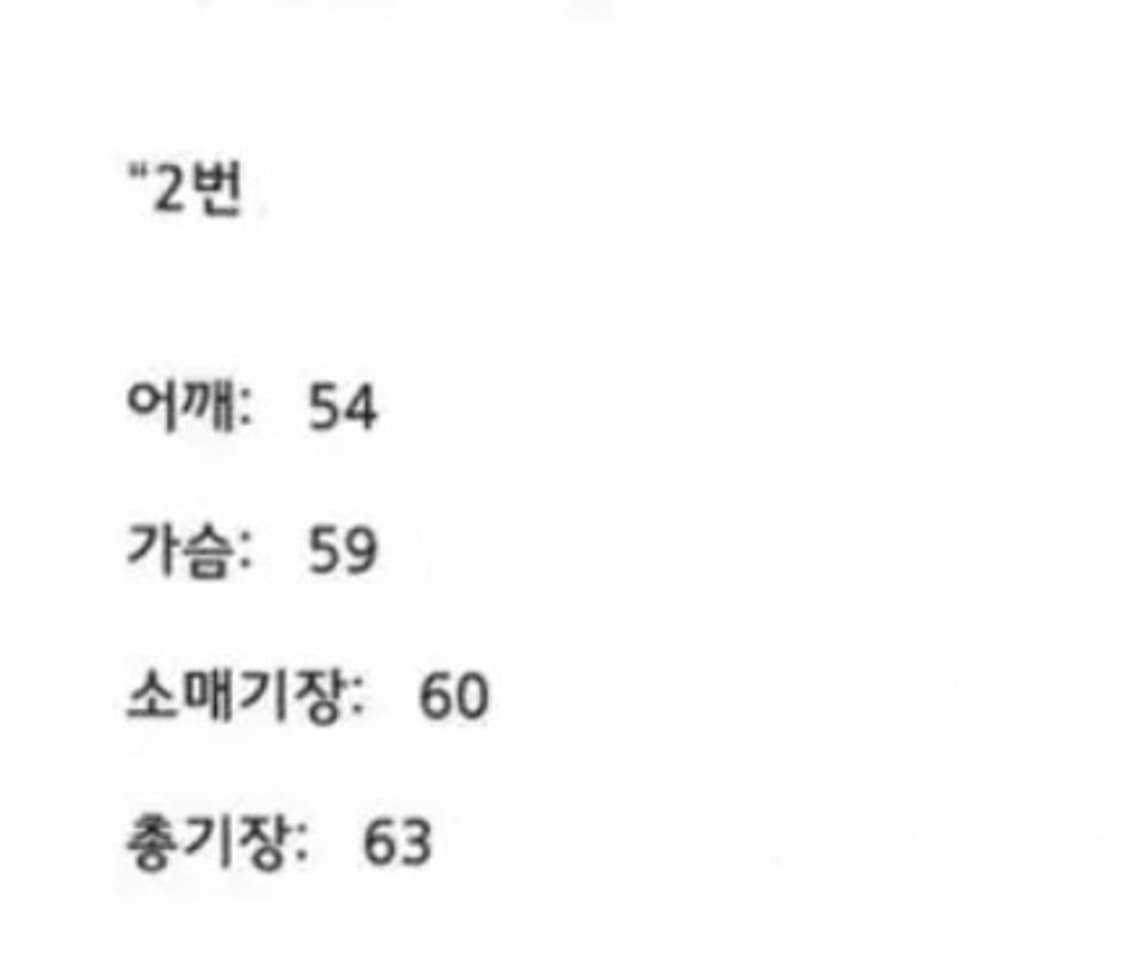 [2] 엔벨로프 / 레더 a-2자켓 상품이미지4