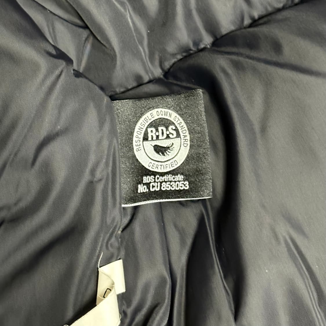 노스페이스 눕시 다운 자켓 패딩 키즈 상품이미지5