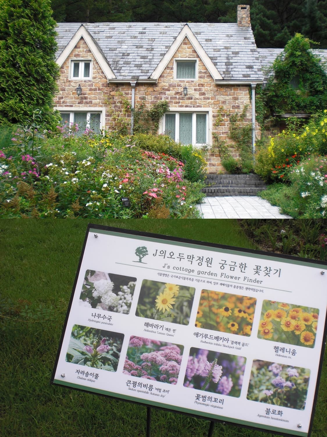 🌺 카시오 엑슬림 EX-Z80 🌺 빈티지 디카 상품이미지7