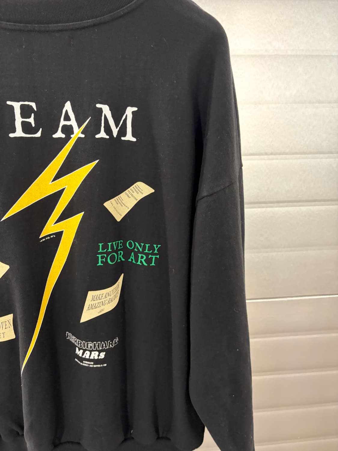 HERBIGHARO 박효신 베토벤 허비그하로 맨투맨 상품이미지7