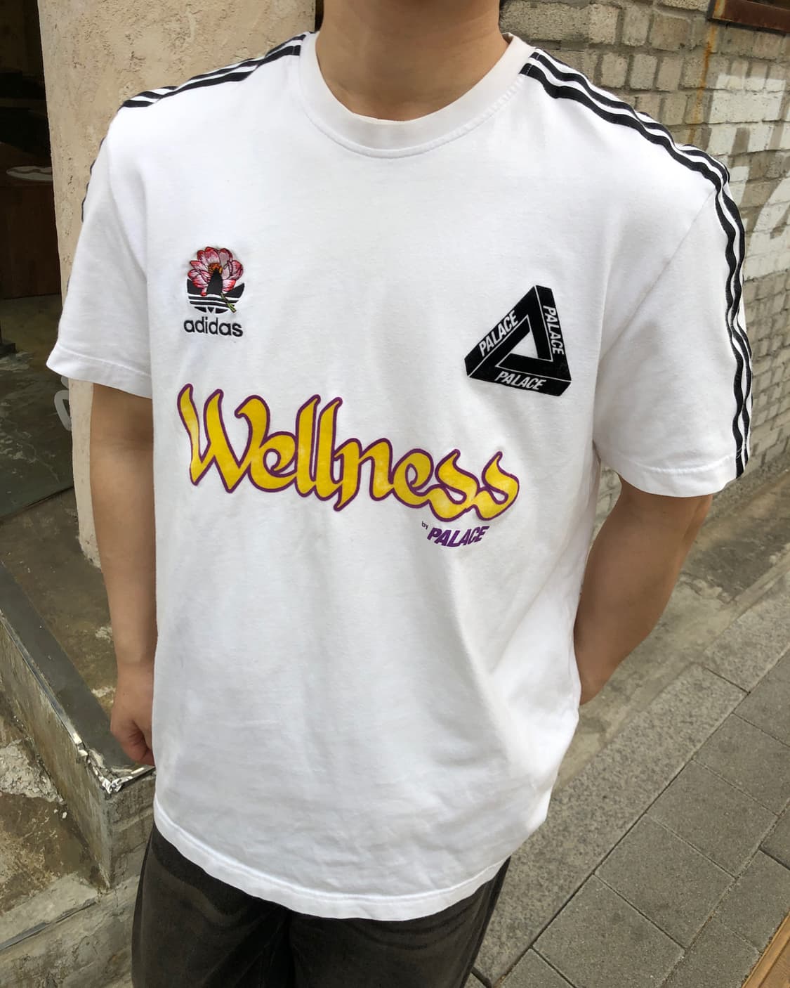팔라스x아디다스 정품 팔라스테 반팔 화이트 상품이미지3