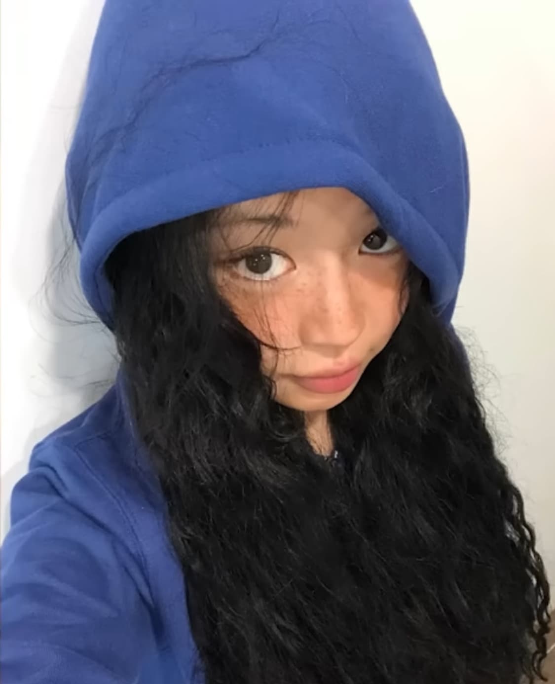 코이세이오 038 후드집업 블루 상품이미지2