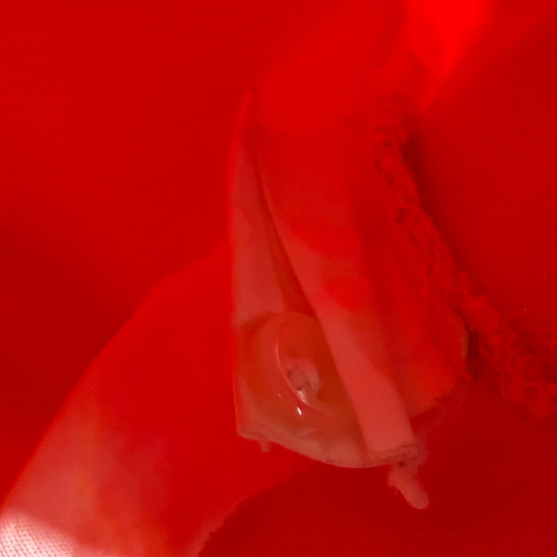 폴로랄프로렌 빅포니 반팔 카라티 M 오렌지 상품이미지3